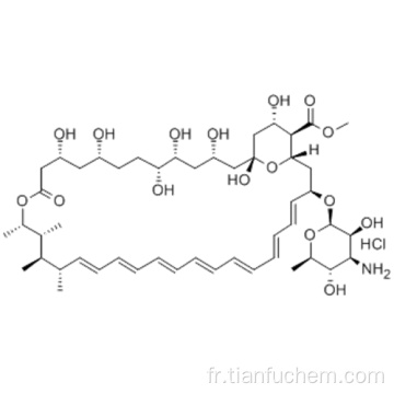 AMPHOTERICIN B, HYDROCHLORURE DE METHYL ESTER CAS 35375-29-2